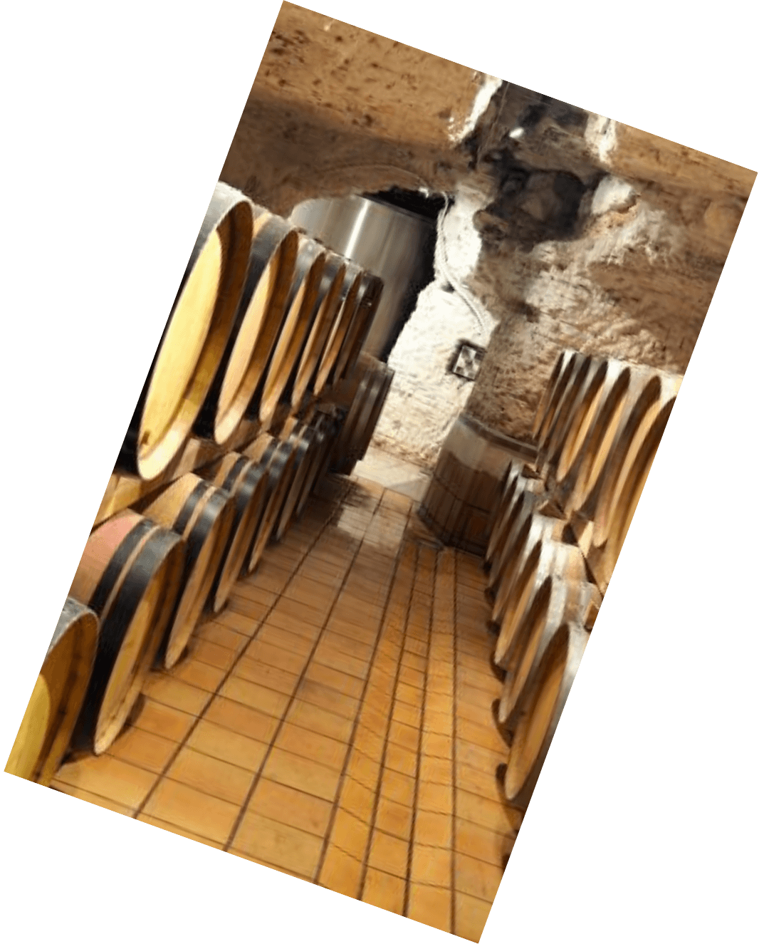 Vinification